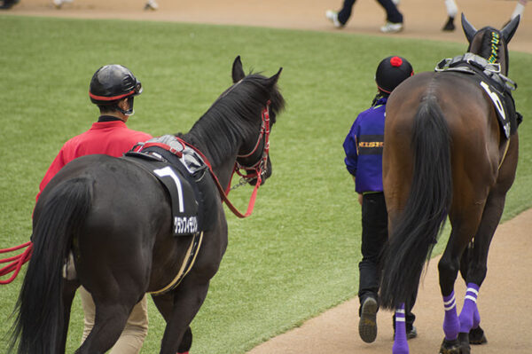 在庫あ通販※関係者限定※ラヴズオンリーユー　QE二世カップ優勝記念 その他